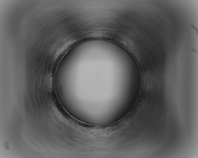 X0000103480016200809191909