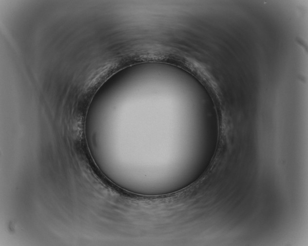 X0000103480017200809191909