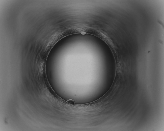 X0000103480018200809191909