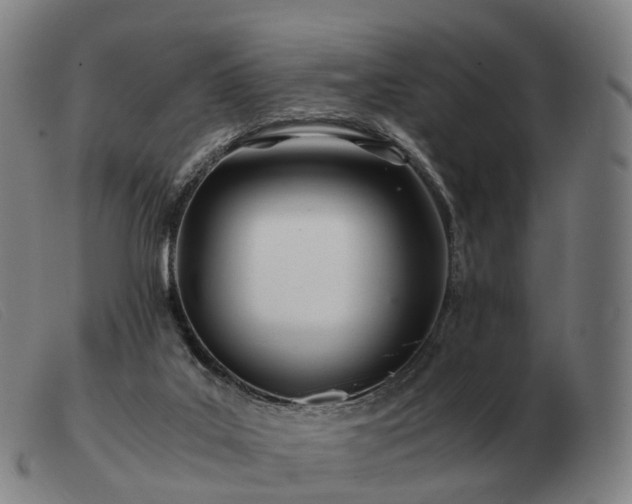 X0000103480019200809191909