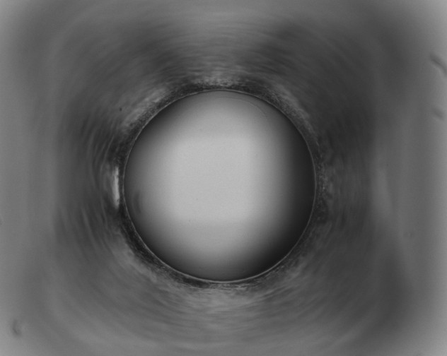 X0000103480020200809191909