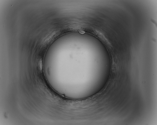 X0000103480021200809191909