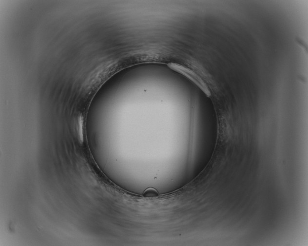 X0000103480022200809191909