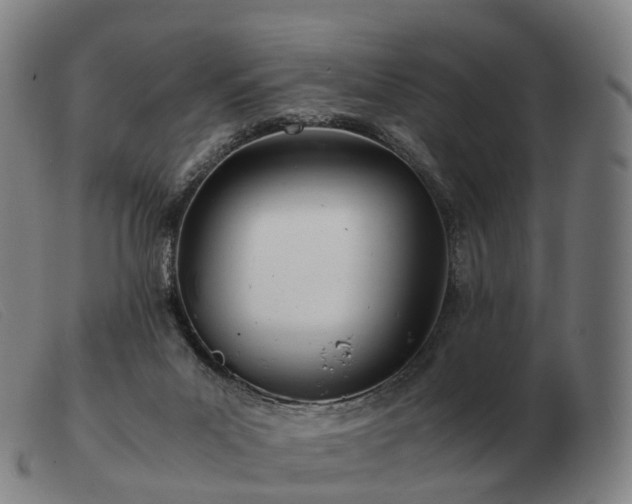 X0000103480023200809191909