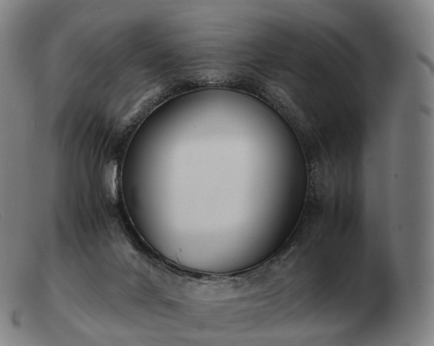 X0000103480024200809191909