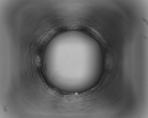 X0000103480025200809191909