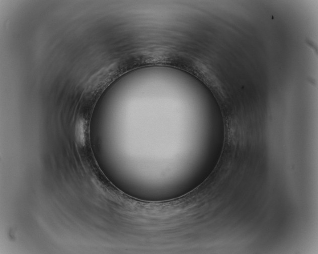 X0000103480026200809191909