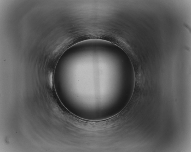 X0000103480027200809191909
