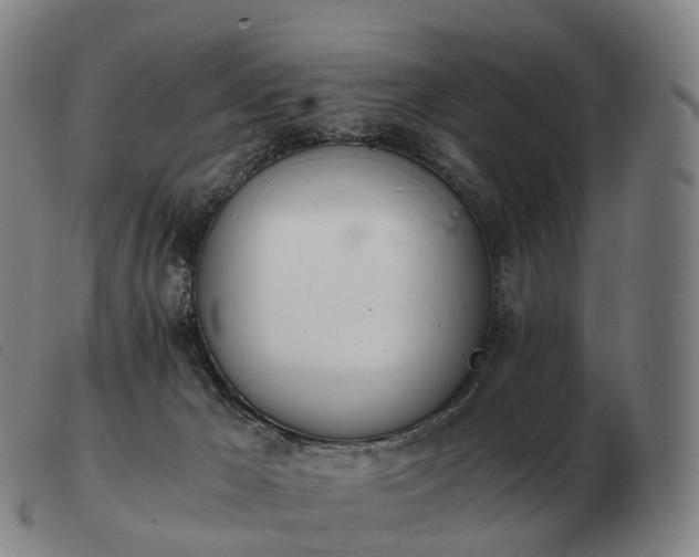 X0000103480029200809191909