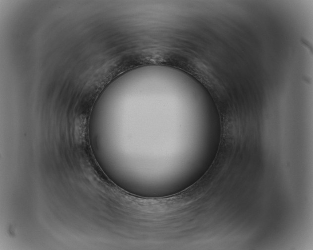 X0000103480030200809191909