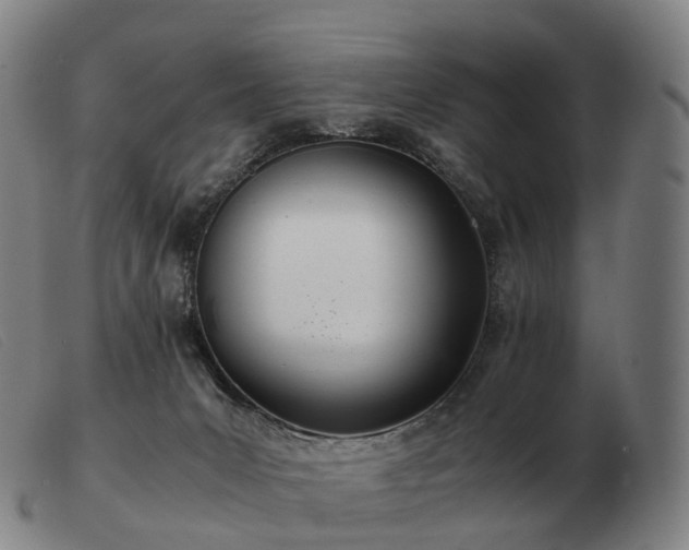 X0000103480031200809191909