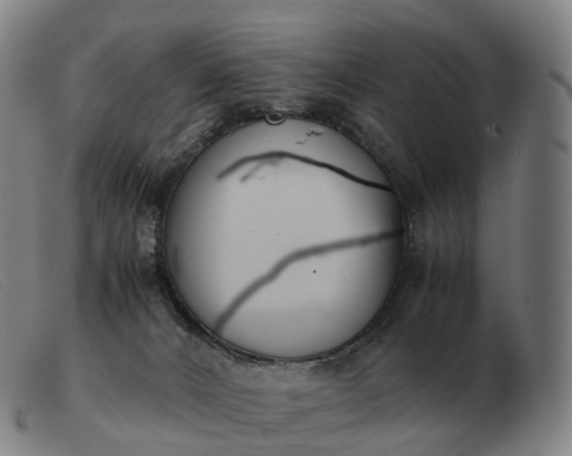 X0000103480032200809191909