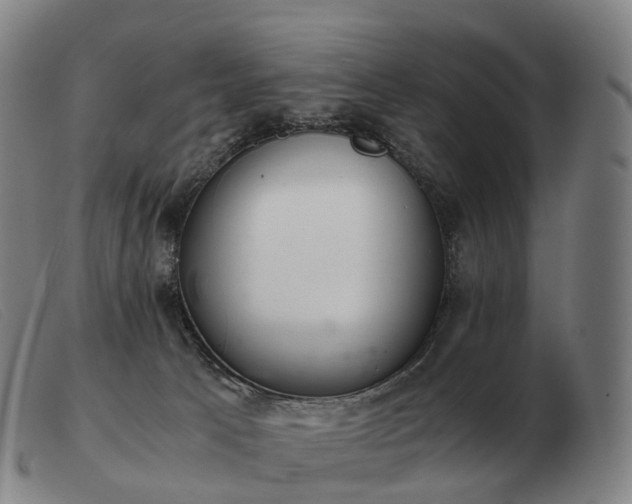 X0000103480033200809191909