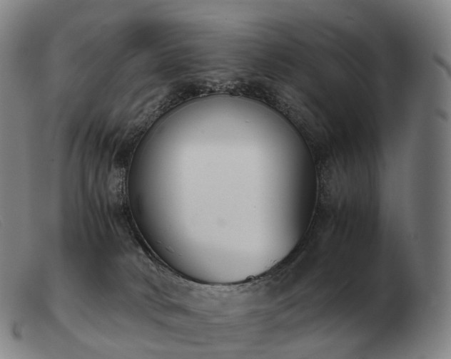 X0000103480034200809191909