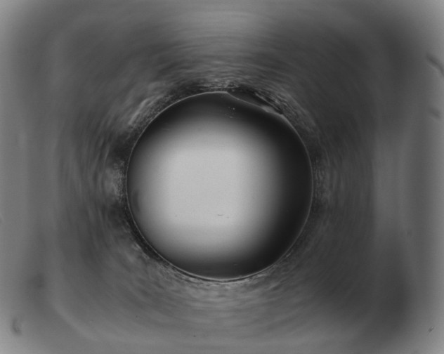 X0000103480035200809191909