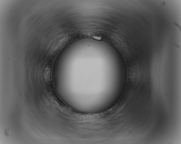 X0000103480036200809191909