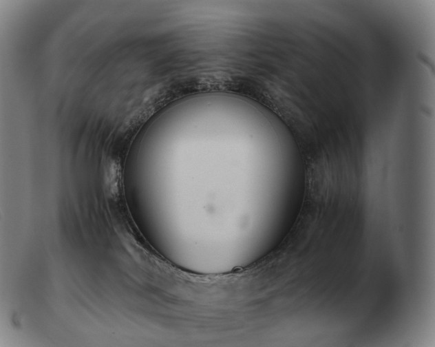 X0000103480038200809191909