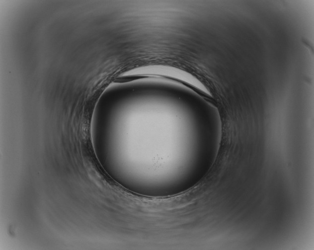 X0000103480039200809191909