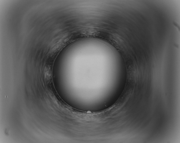 X0000103480040200809191909