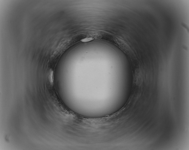 X0000103480041200809191909
