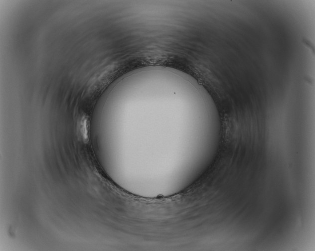 X0000103480042200809191909