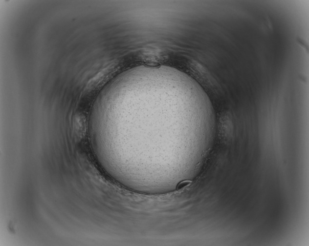 X0000103480043200809191909