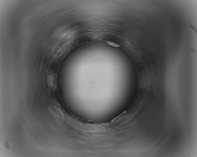 X0000103480044200809191909