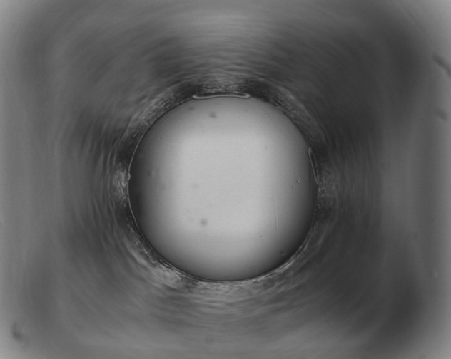 X0000103480045200809191909