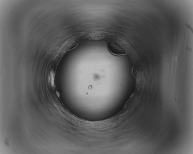 X0000103480046200809191909