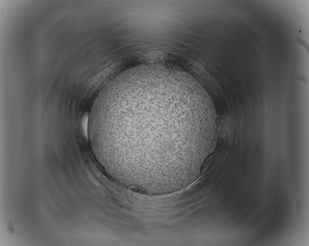 X0000103480047200809191909