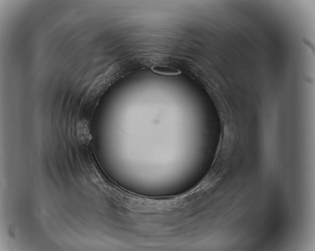 X0000103480048200809191909