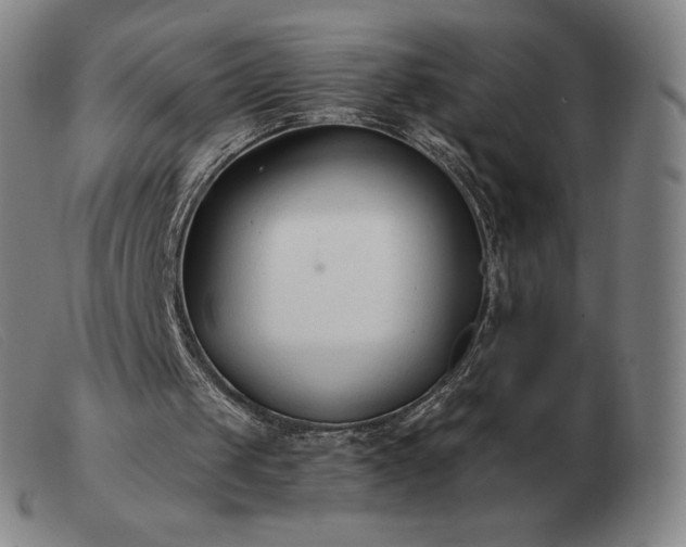 X0000103480049200809191908