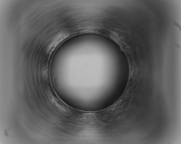 X0000103480050200809191908