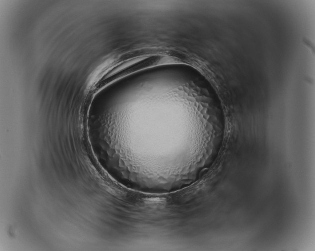 X0000103480053200809191908