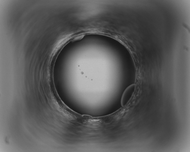 X0000103480055200809191908