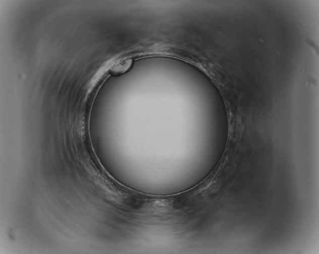 X0000103480056200809191908