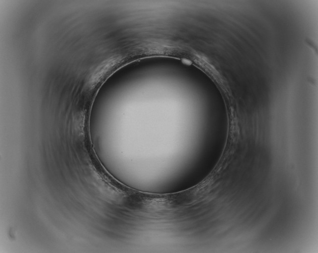 X0000103480058200809191908