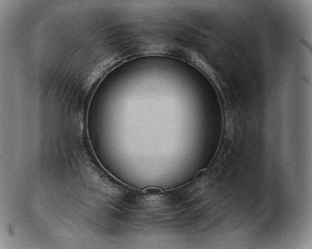 X0000103480059200809191908