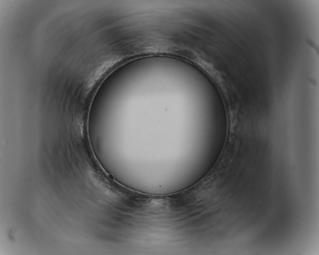 X0000103480060200809191908