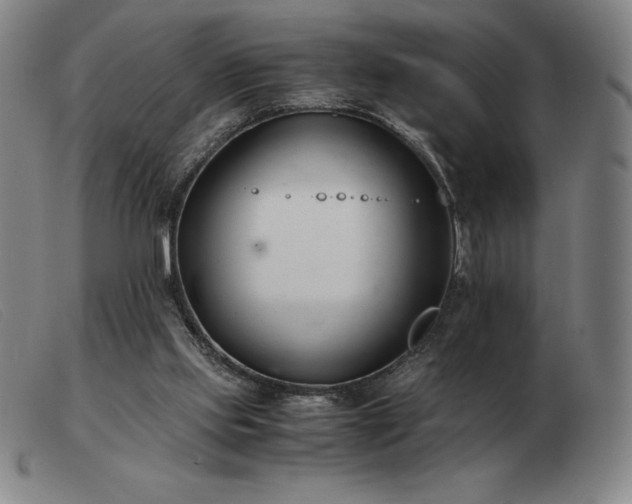 X0000103480061200809191908