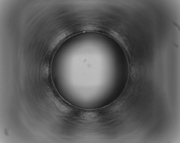 X0000103480063200809191908