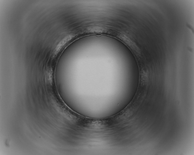 X0000103480064200809191908