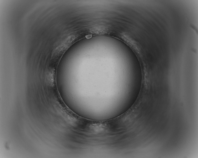 X0000103480065200809191908