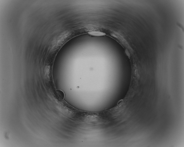 X0000103480066200809191908