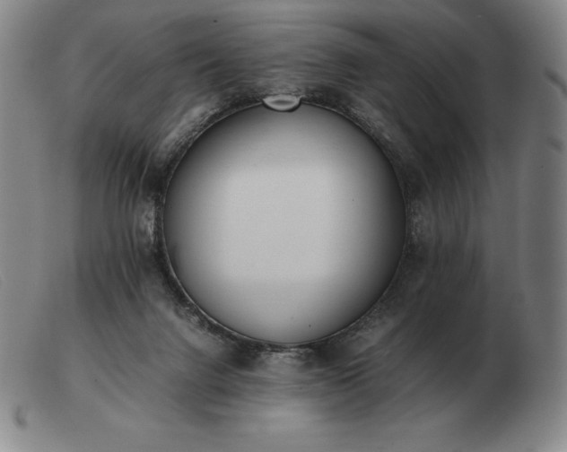 X0000103480072200809191908