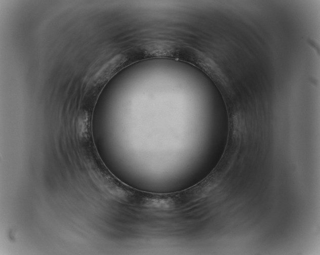 X0000103480073200809191908