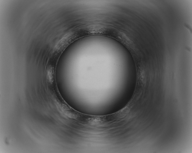 X0000103480074200809191908