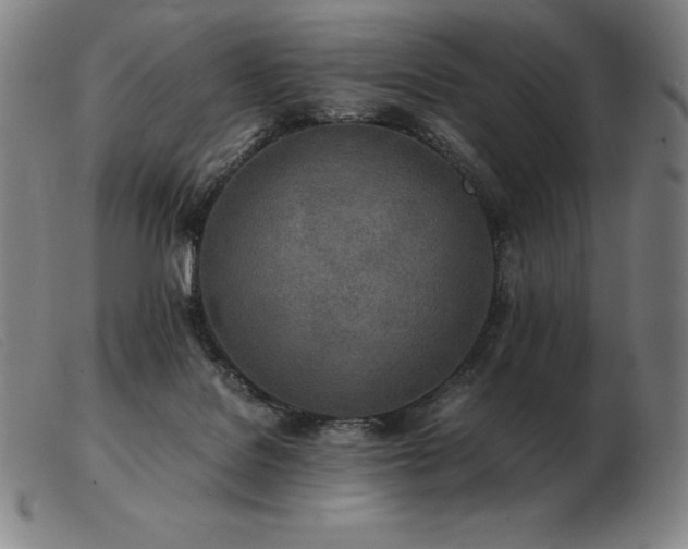 X0000103480076200809191908