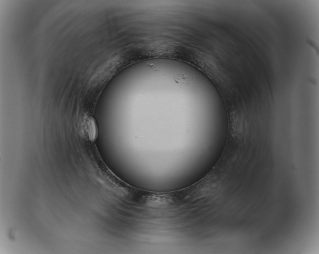 X0000103480077200809191908