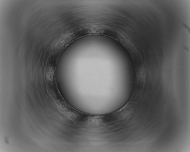 X0000103480078200809191908